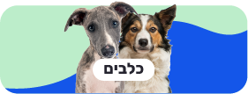 כלבים