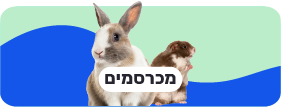 מכרסמים