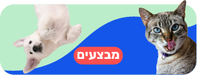 מבצעים