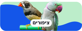 ציפורים