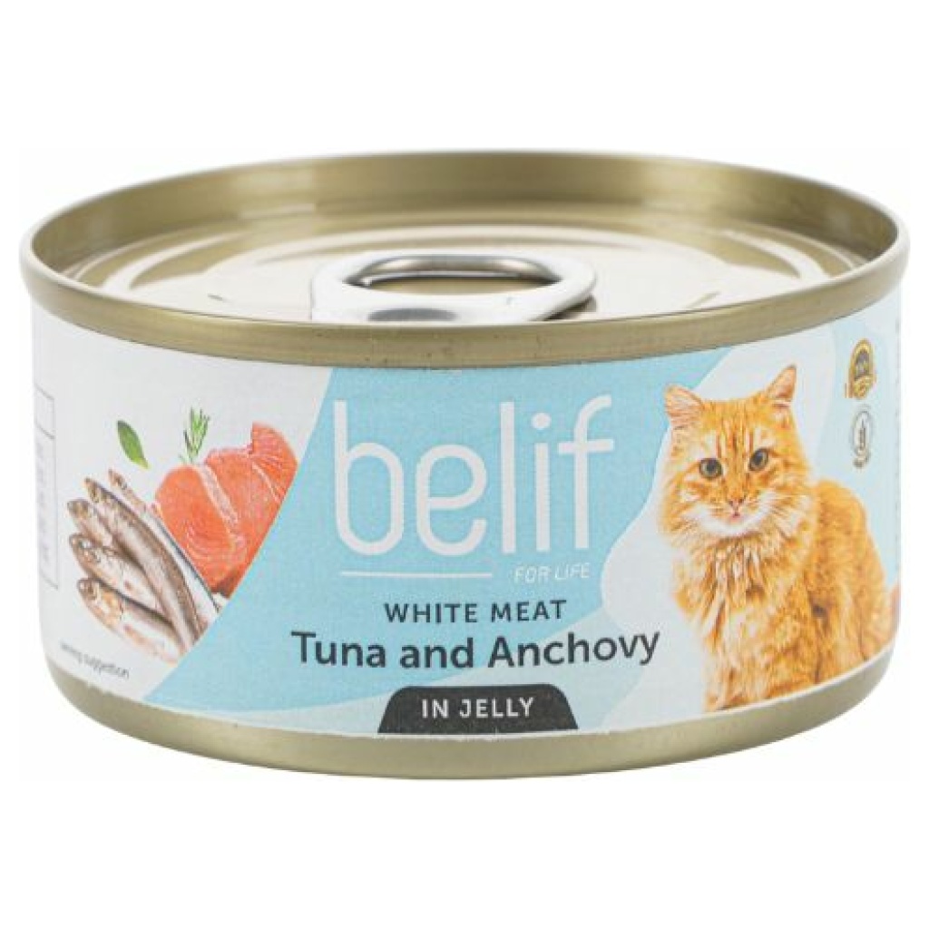 מעדנים ושימורים