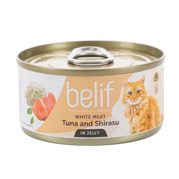 belif בליף מעדן דגים לבנים טונה ושירסו בג'לי- 80 גרם