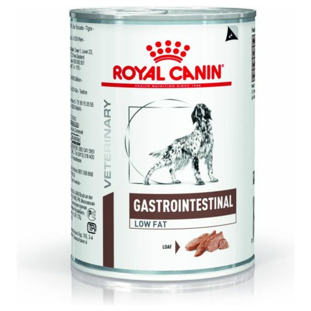 שימורים רפואיים לכלב