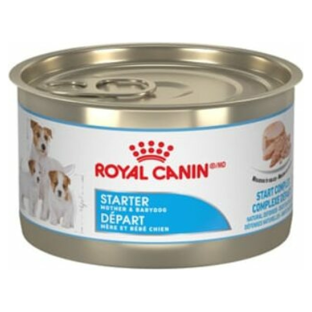 מעדנים ושימורים לכלב