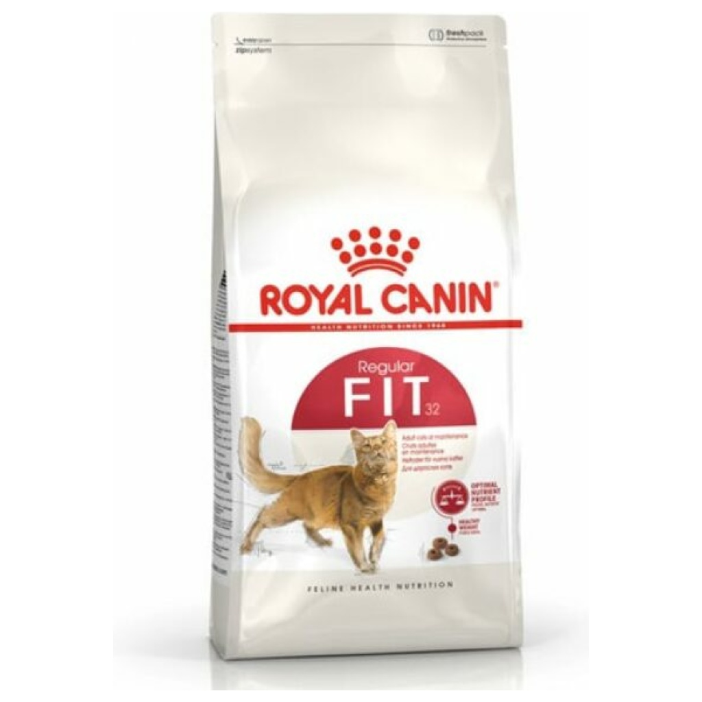 מזון יבש לחתול