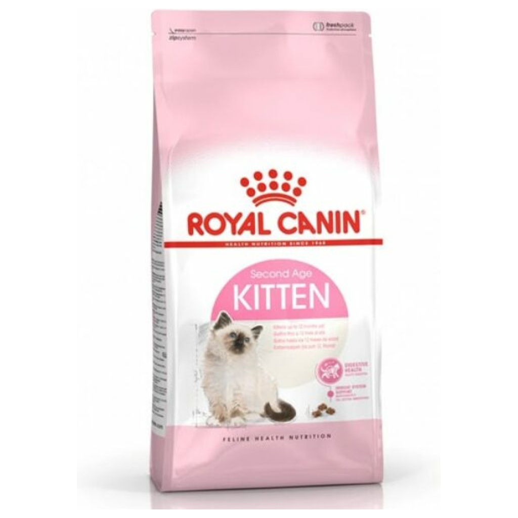 מזון יבש לגורי חתולים