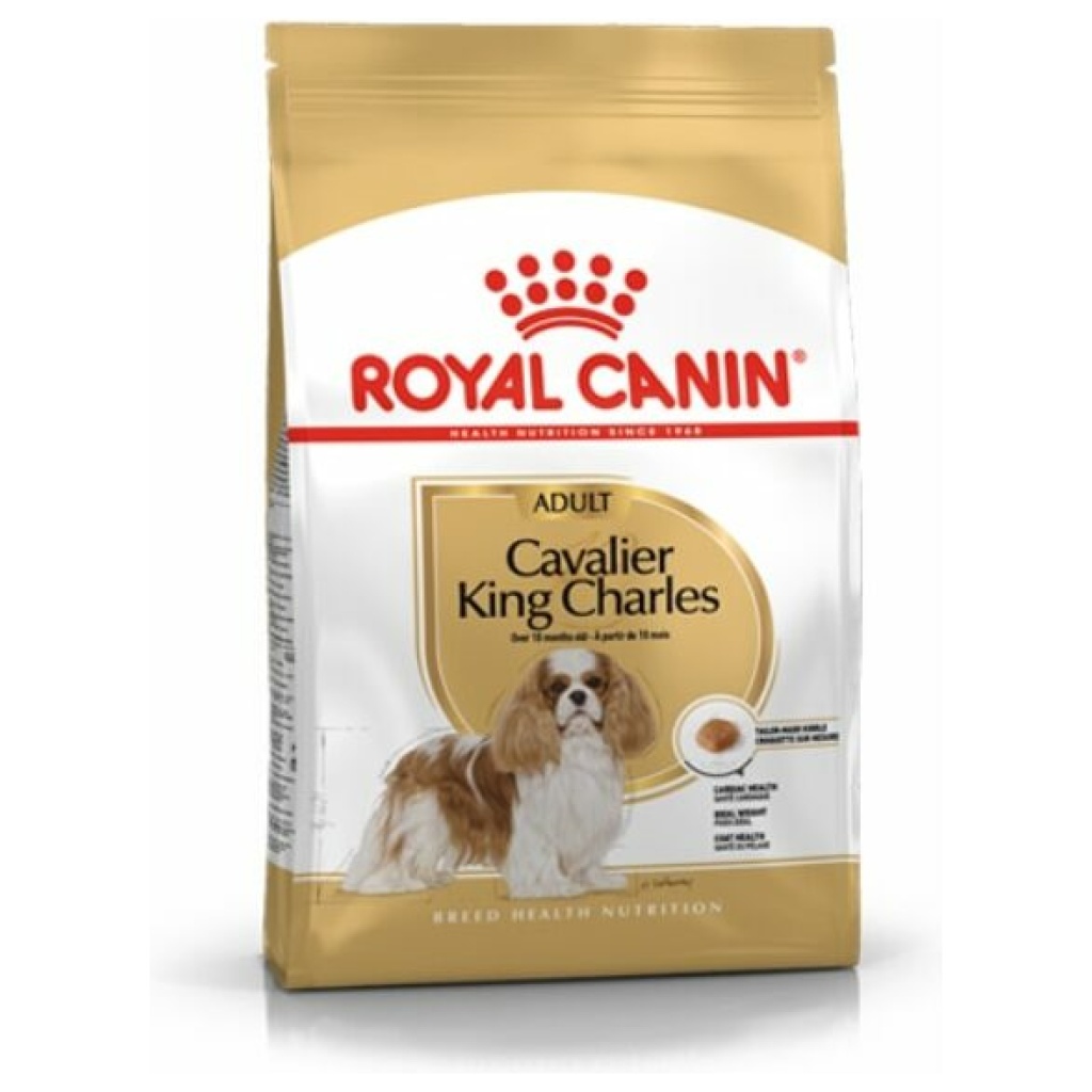 אוכל לכלבים